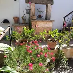 Casa Zii Mpeu By Salentoaffitti *