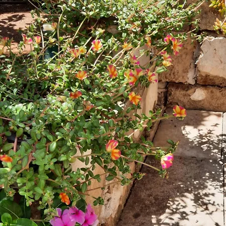 Casa Zii Mpeu By Salentoaffitti