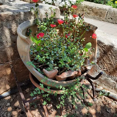 Casa Zii Mpeu By Salentoaffitti בית נופש ראקאלה