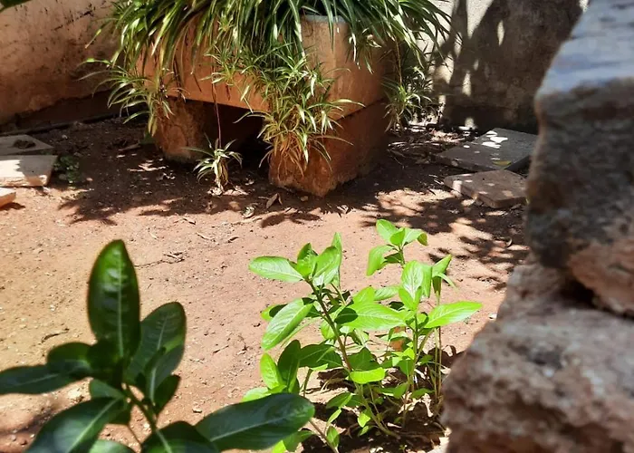 Casa Zii Mpeu By Salentoaffitti